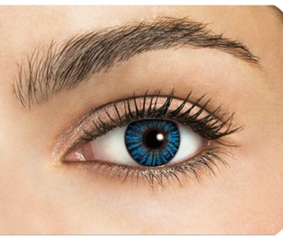 Gold Look Daily Disposable(0.0 Dark blue contact lens, Colored Contact Lenses, Pack of 2)