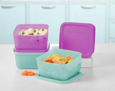TUPPERWARE Polypropylene Utility Container  - 650 ml(Pack of 4, Purple, Blue)