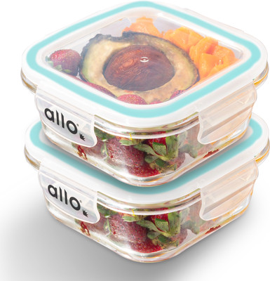 Allo Glass Fridge Container  - 550 ml(Pack of 2, Clear)