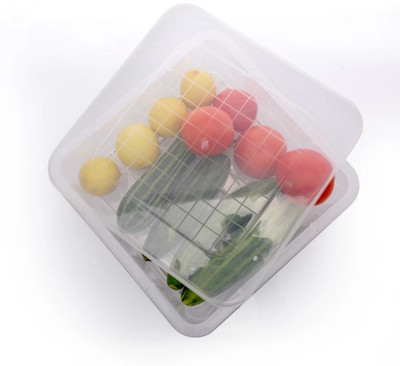 SKYHEART Plastic Fridge Container  - 2500 ml(Clear)