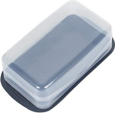 SATANI Plastic Fridge Container  - 750 ml(Multicolor)