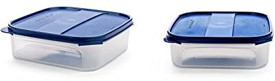 Signoraware Plastic Utility Container  - 1200 ml(Pack of 2, Blue)