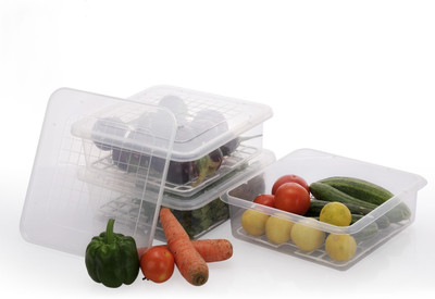 Raden Plastic Fridge Container  - 2500 ml(Pack of 3, White)