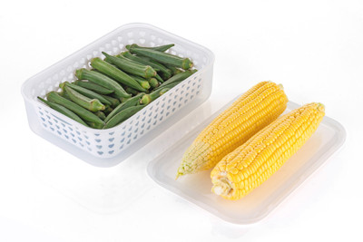 busaji enterprise Plastic Fridge Container  - 2500 ml(Multicolor)