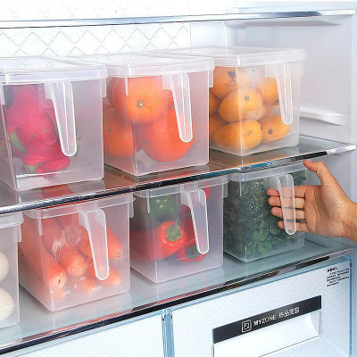 Jespper Collection Plastic Fridge Container  - 5 L(Pack of 5, Clear)