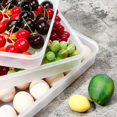 Coozico Plastic Egg Container  - 2 dozen(White)