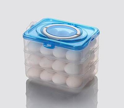 TINSUHG Plastic Fridge Container  - 3 dozen(Multicolor)