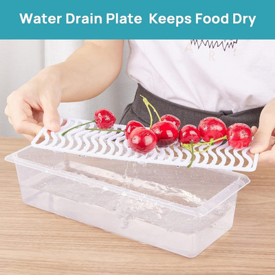 Episkey Plastic Fridge Container  - 1.5 L(Transparent)