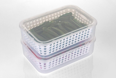 Dinely Plastic Fridge Container  - 2500 ml(Pack of 2, White)