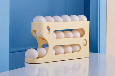 Cosy Home Make It Easy Plastic Egg Container  - 2 dozen(White)
