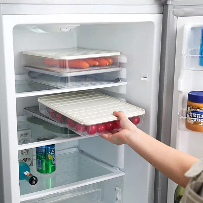 STARKENDY Plastic Fridge Container  - 2500 ml, 1200 ml, 1200 ml(Clear)