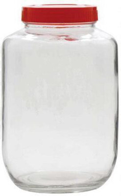 VINAR Glass Bread Container  - 3000 ml(Clear)