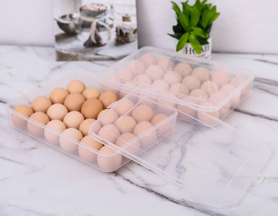 TINSUHG Plastic Egg Container  - 2 dozen(Clear)