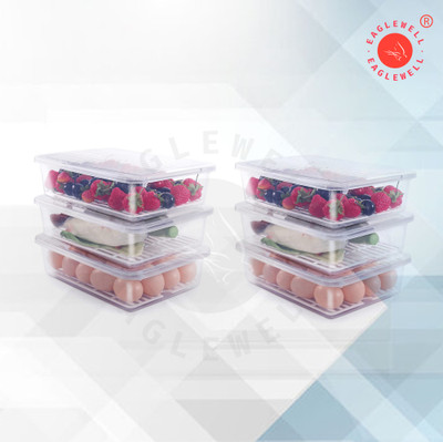 EagleWell Plastic Fridge Container  - 2500 ml(Pack of 6, Clear)