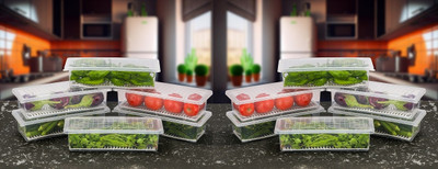 RAYORA Plastic Fridge Container  - 1500 ml(Pack of 12, Clear)