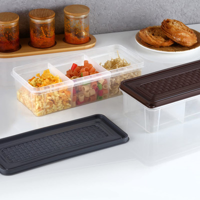 kayru Plastic Fridge Container  - 1800 ml(Pack of 2, Multicolor)