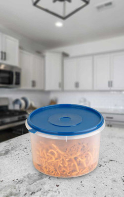 EMBICON Plastic Grocery Container  - 3500 ml(Blue)