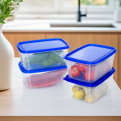 FEEDNIX Plastic Fridge Container  - 2000 ml(Pack of 4, Blue)