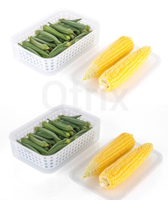 Qtrix Plastic Fridge Container  - 2500 ml(Pack of 2, White)
