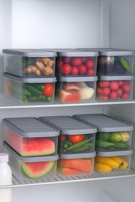 Alvinos Plastic Fridge Container  - 1200 L(Pack of 6, Grey)