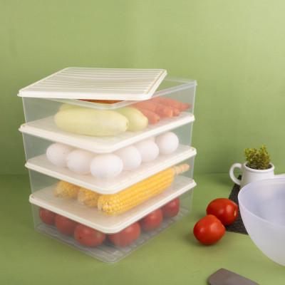 DELMON Plastic Fridge Container  - 2500 ml(Pack of 4, White)