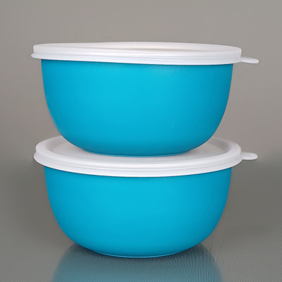 Zaib Steel, Polypropylene Grocery Container  - 500 ml(Pack of 2, Green)