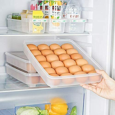 AIROMOON Plastic Egg Container  - 2 dozen(Clear)