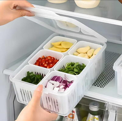 ARIZON Plastic Fridge Container  - 2700 ml(White)