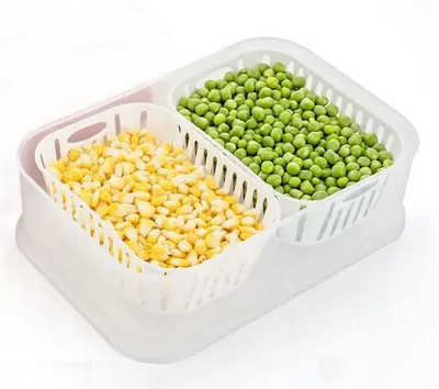 khodal Plastic Fridge Container  - 2500 ml(Multicolor)