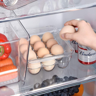 vulrian Plastic Egg Container  - 1 dozen(Clear)