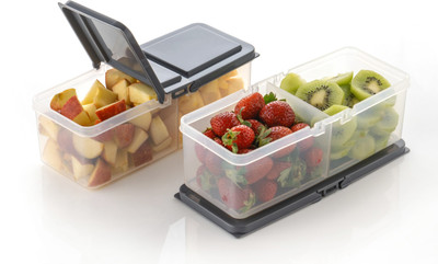 Raghuandan Plastic Fridge Container  - 1000 ml(Pack of 2, Grey)