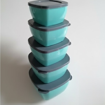 PILLAGE ENTERPRISES Plastic Fridge Container  - 1000 ml(Pack of 5, Multicolor)