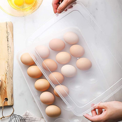 Coozico Plastic Egg Container  - 2 dozen(Clear)
