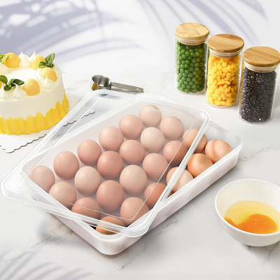 TINSUHG Plastic Egg Container  - 2 dozen(Clear)