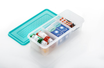 EMBICON Plastic Fridge Container  - 2000 ml(Green)