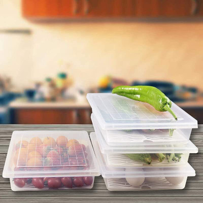 Zigmo Plastic Fridge Container  - 2400 ml(Pack of 2, Clear)