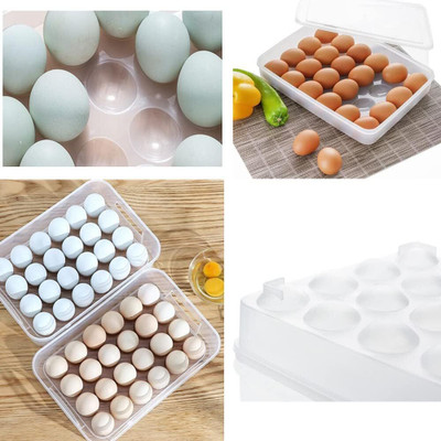 TINSUHG Plastic Egg Container  - 2 dozen(Clear)