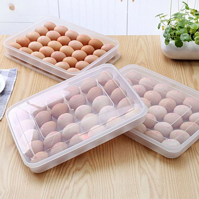 TINSUHG Plastic Egg Container  - 2 dozen(Clear)