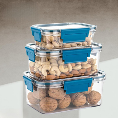 Culinary Crafts Plastic Utility Container  - 2300 ml(Pack of 3, Blue)