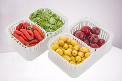 Actilife Plastic Fridge Container  - 2500 ml(Pack of 2, Clear)