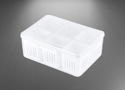 NEWSPARSH Plastic Fridge Container  - 2200 ml(White)