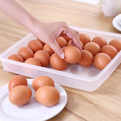 VERPHX Plastic Egg Container  - 2 dozen(Clear)