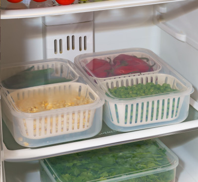 RABBITO Plastic Fridge Container  - 2500 ml(Pack of 2, White)