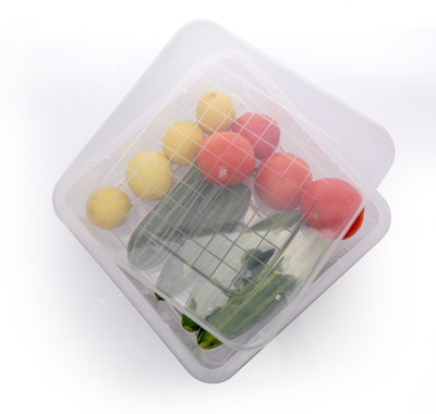 SKYLIFE Plastic Fridge Container  - 2500 ml(Clear)
