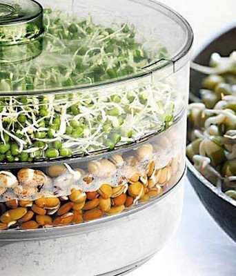 kayru Plastic Sprout Maker  - 300 ml(Multicolor)