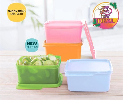 TUPPERWARE Polypropylene Utility Container  - 500 ml(Pack of 4, Multicolor)
