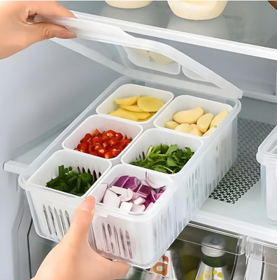 Dsboom Plastic Fridge Container  - 10 g(White)