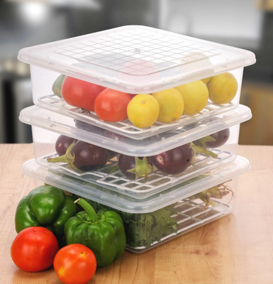 Craftbin Plastic Fridge Container  - 2400 ml(Pack of 3, Clear)