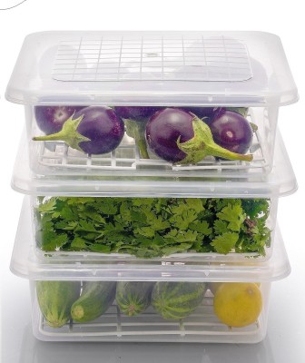 Sloppy Plastic Fridge Container  - 2500 ml(Pack of 3, Clear)