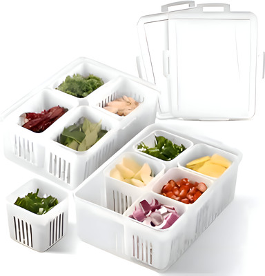 Crackle Plastic Fridge Container  - 4800 ml(Pack of 2, White)